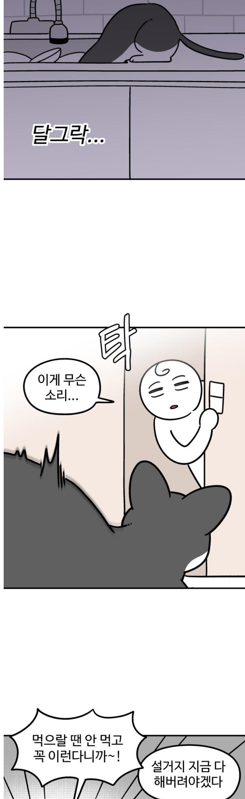 005.jpg
