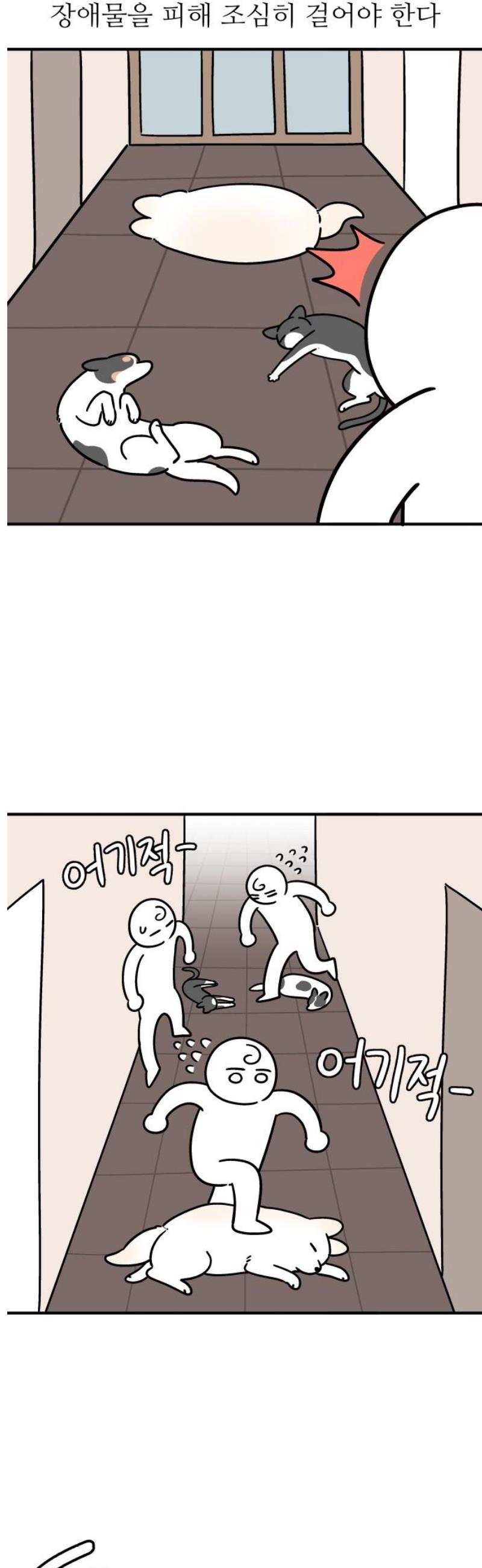 007.jpg