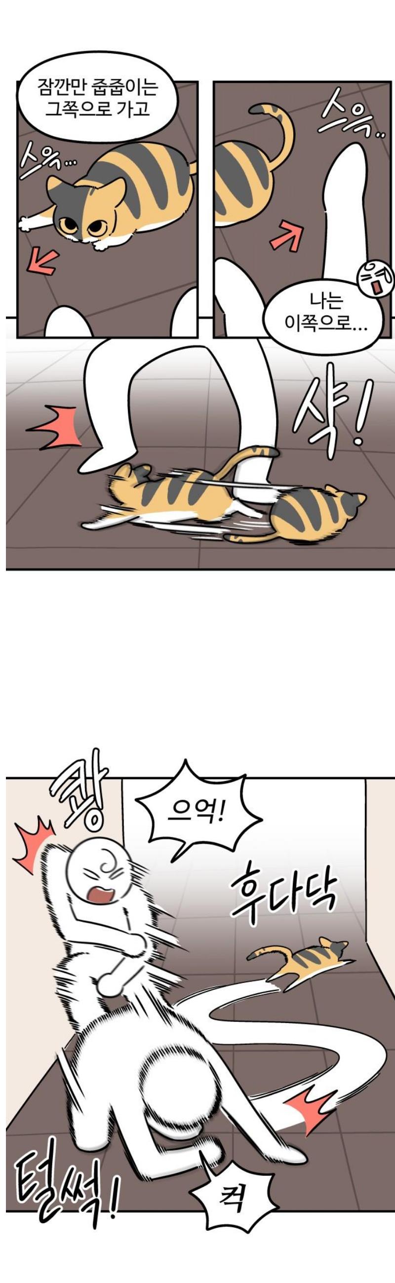 009.jpg