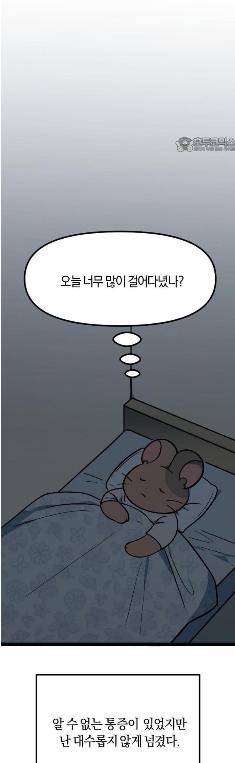 011.jpg