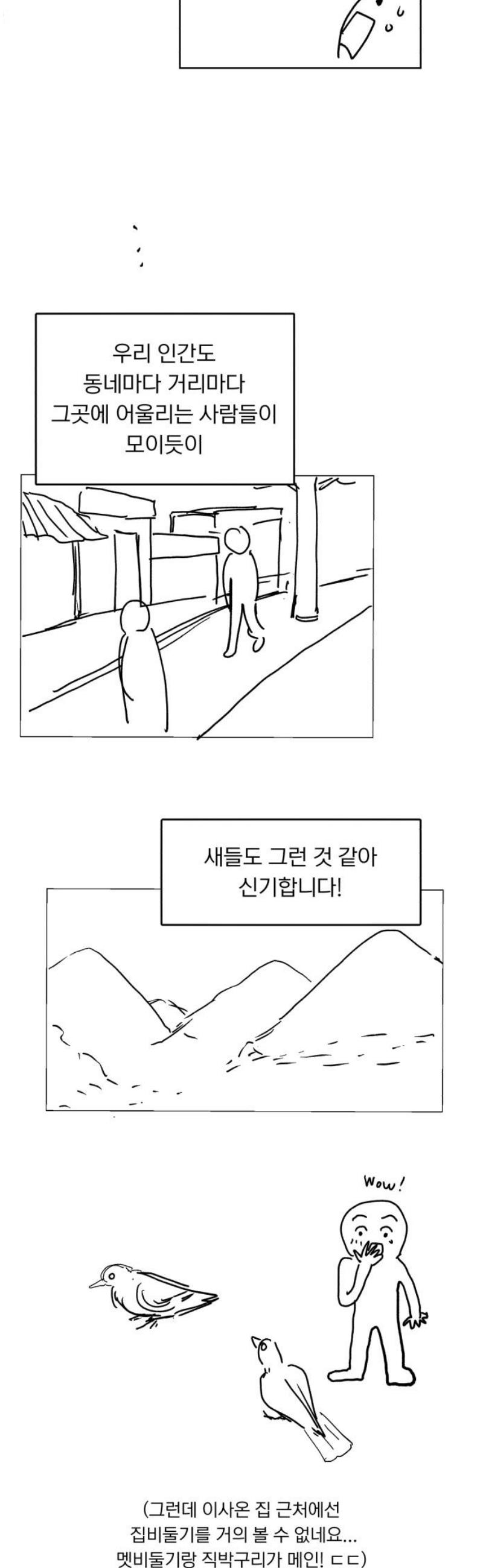 005.jpg