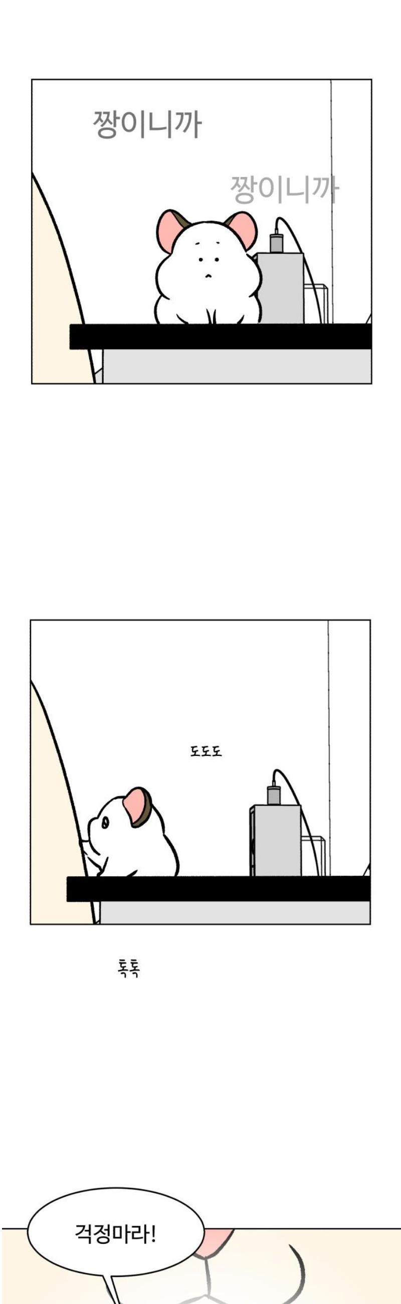 006.jpg