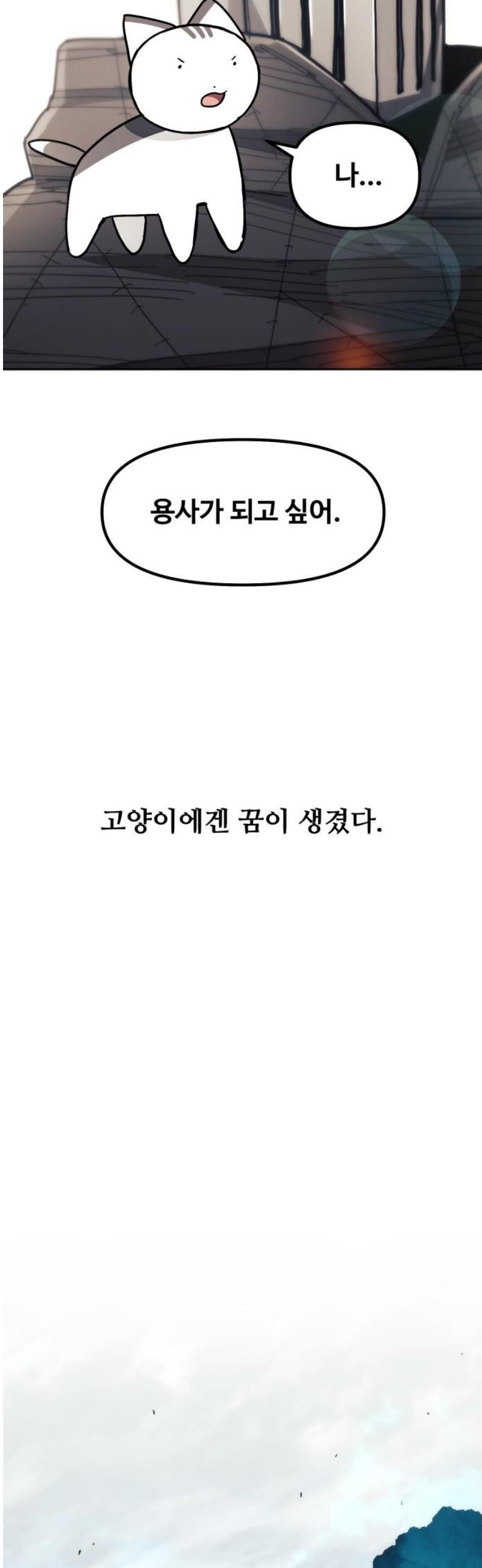 031.jpg
