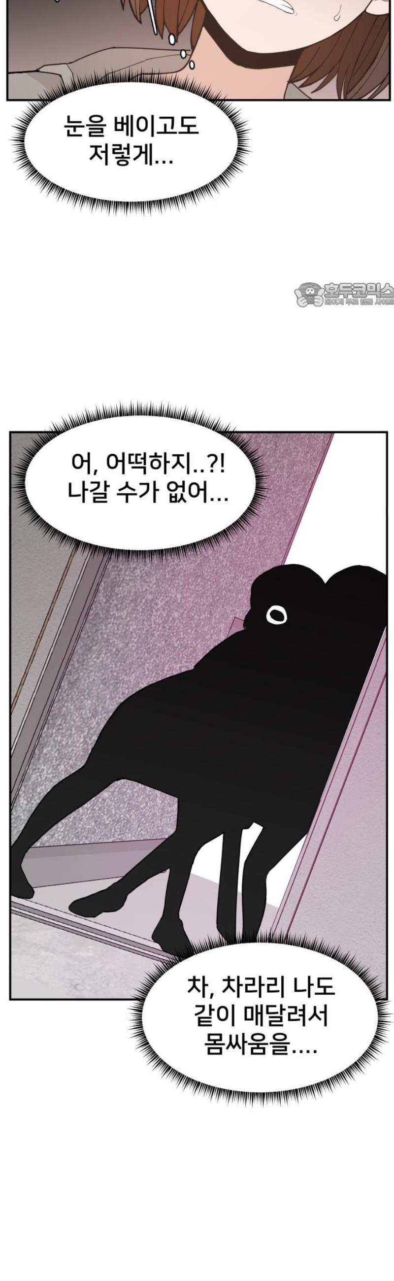 009.jpg