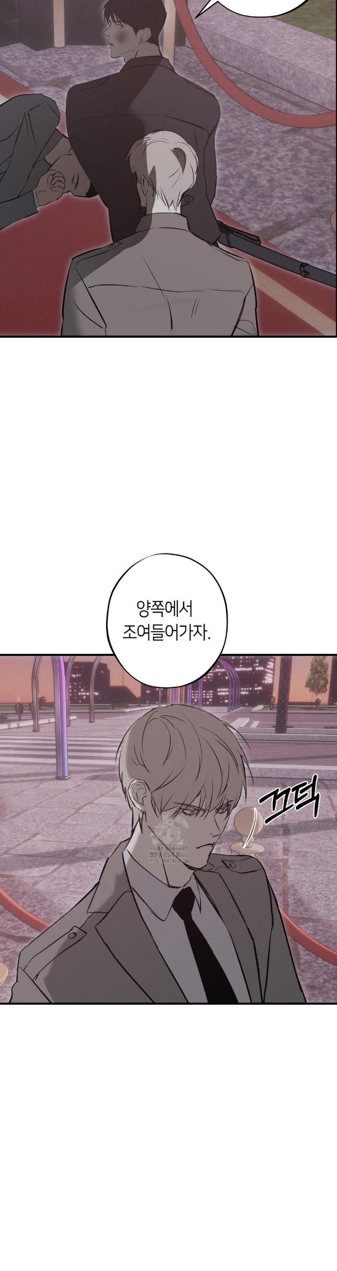 003.jpg