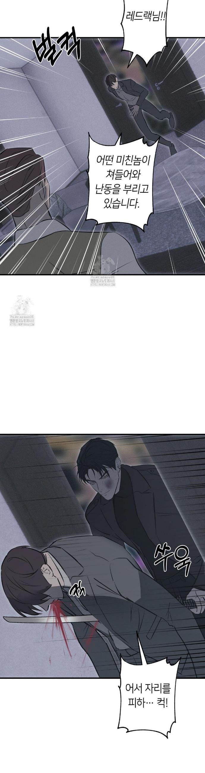 007.jpg