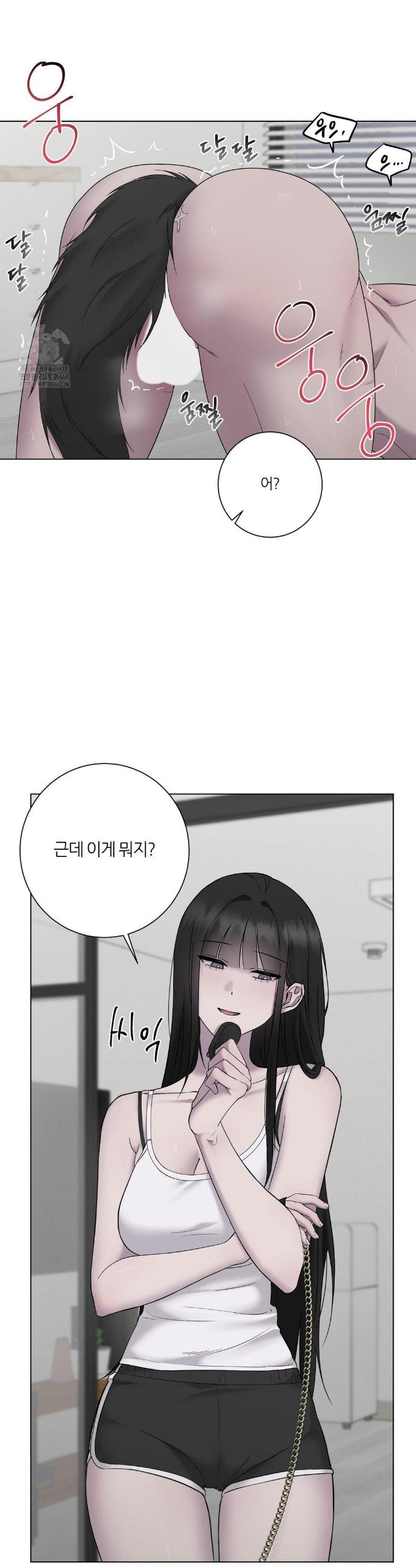 005.jpg