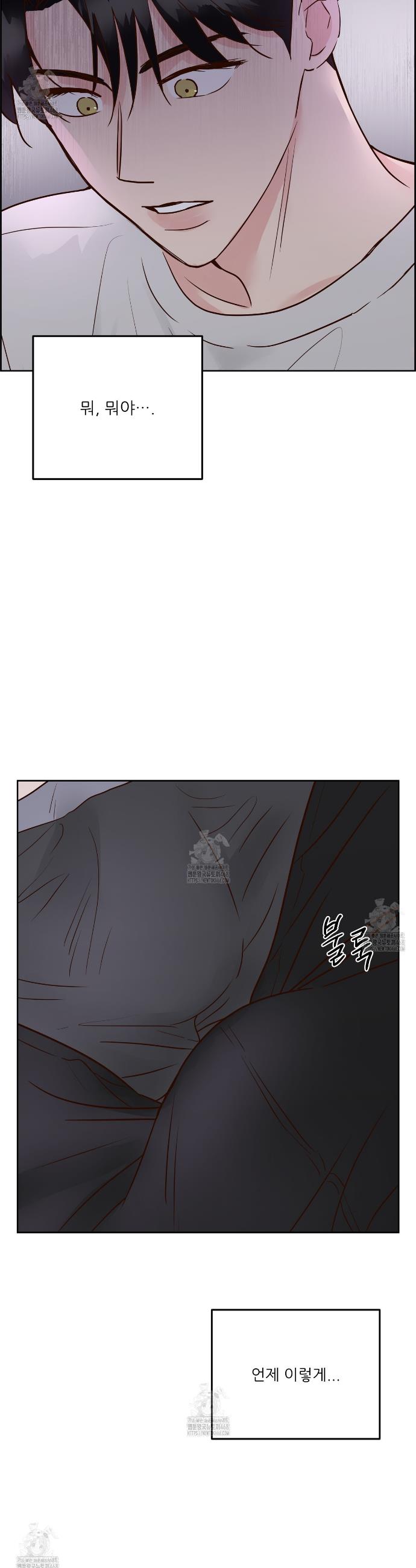 033.jpg