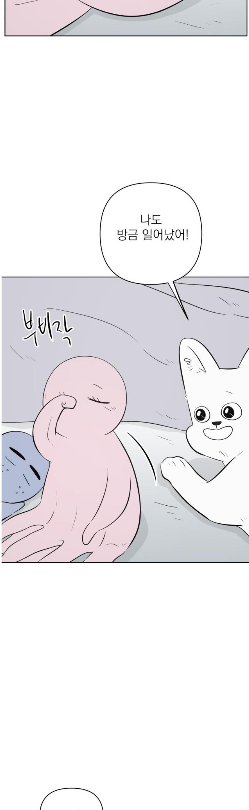 008.jpg
