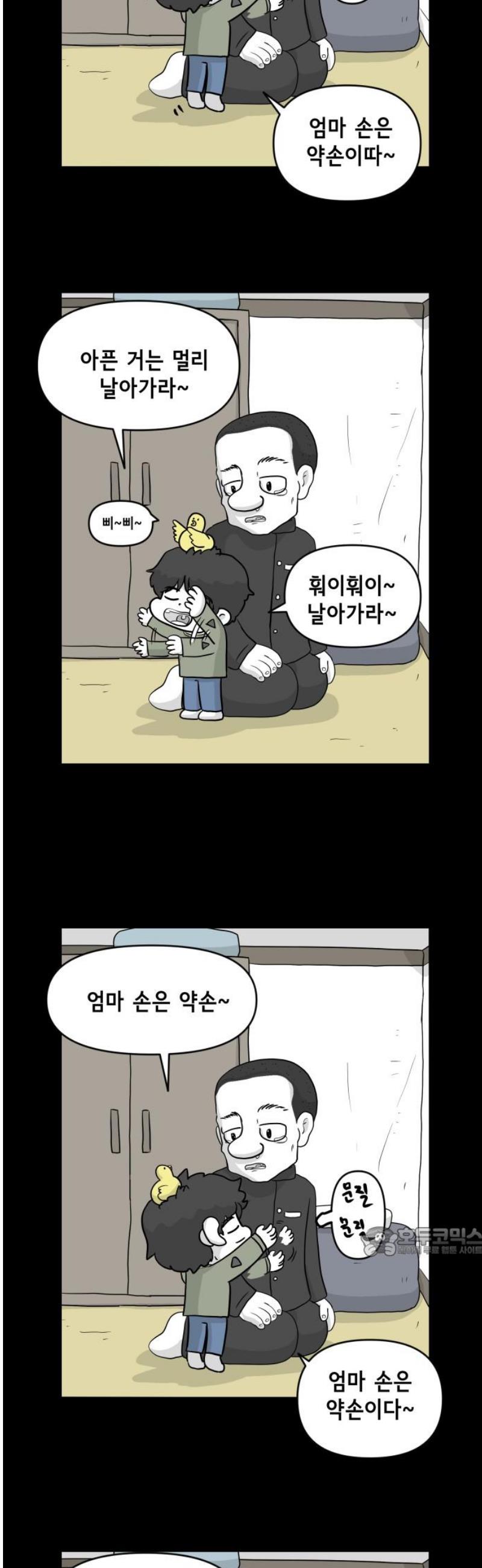 017.jpg