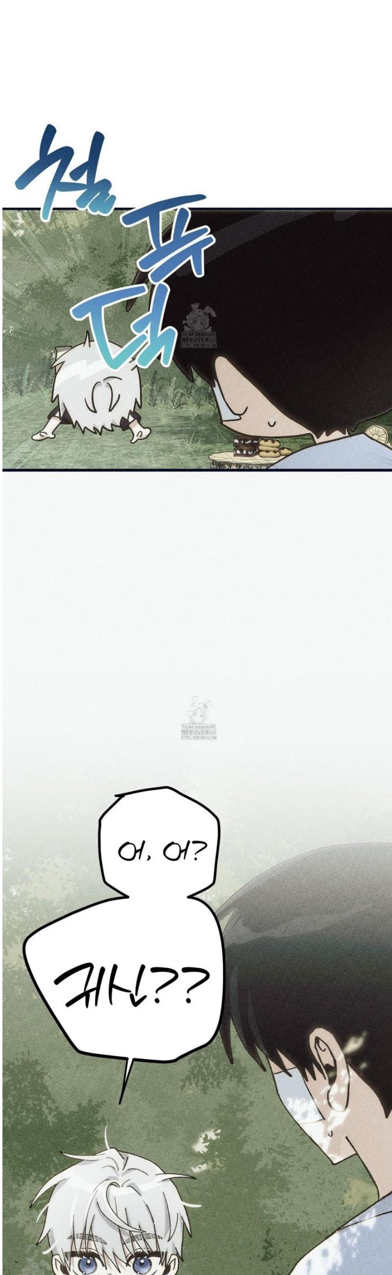 008.jpg