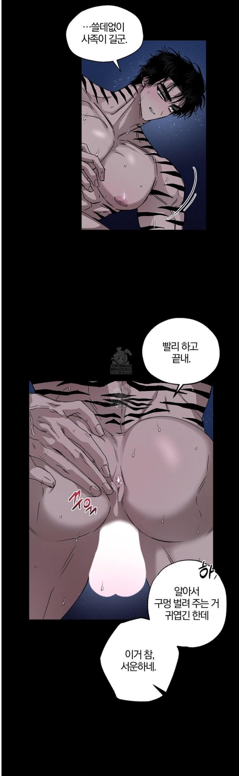 003.jpg