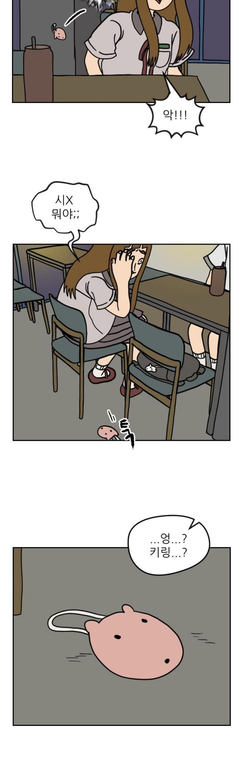 008.jpg