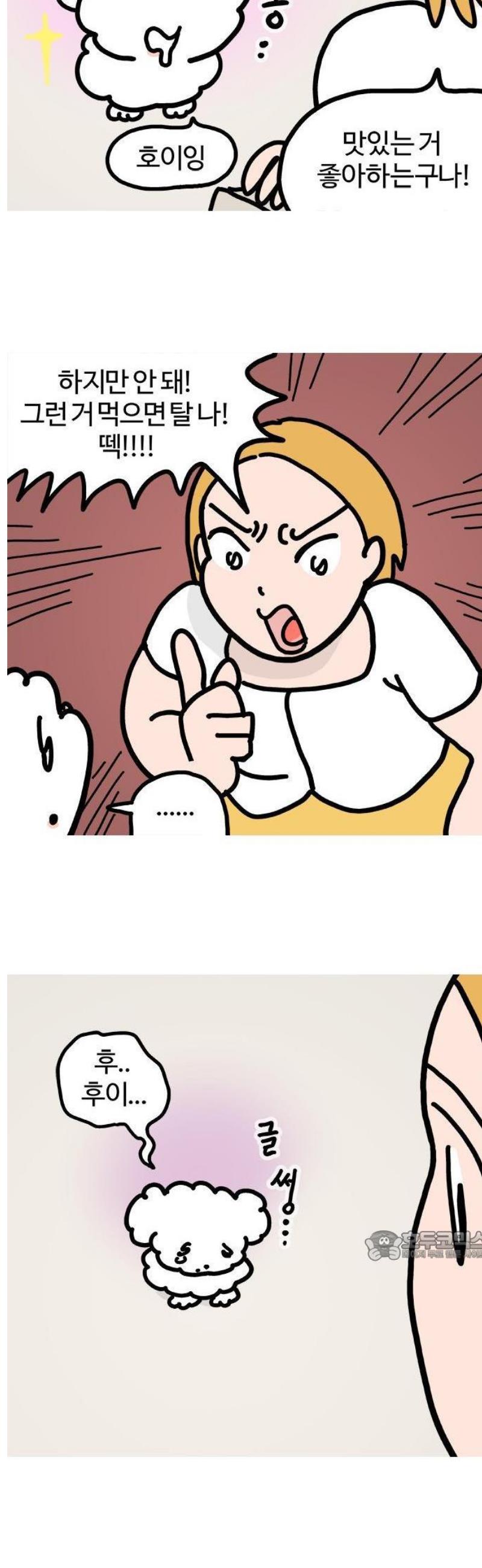 003.jpg