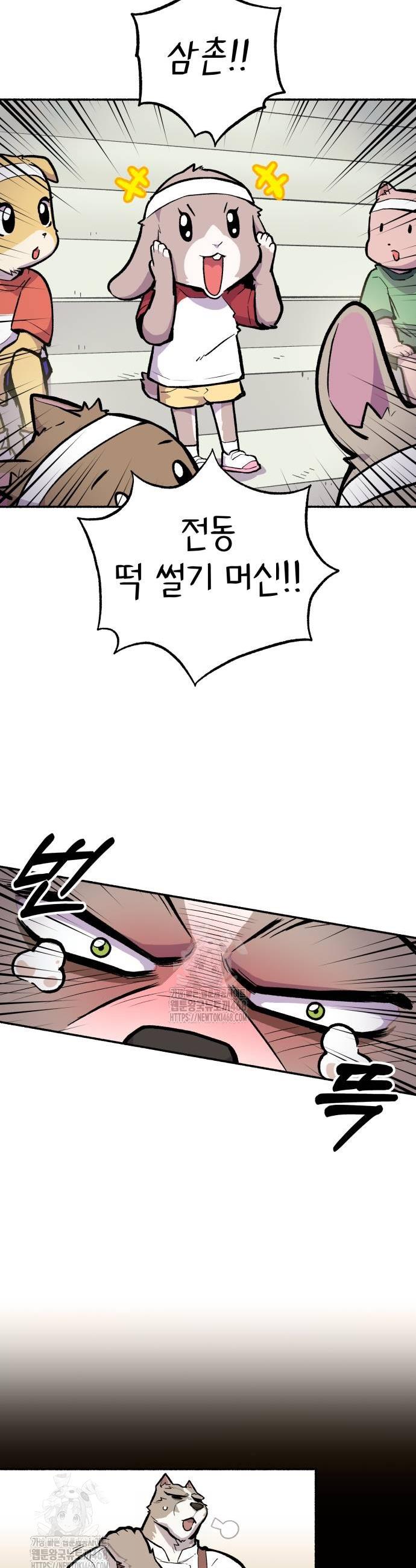 005.jpg