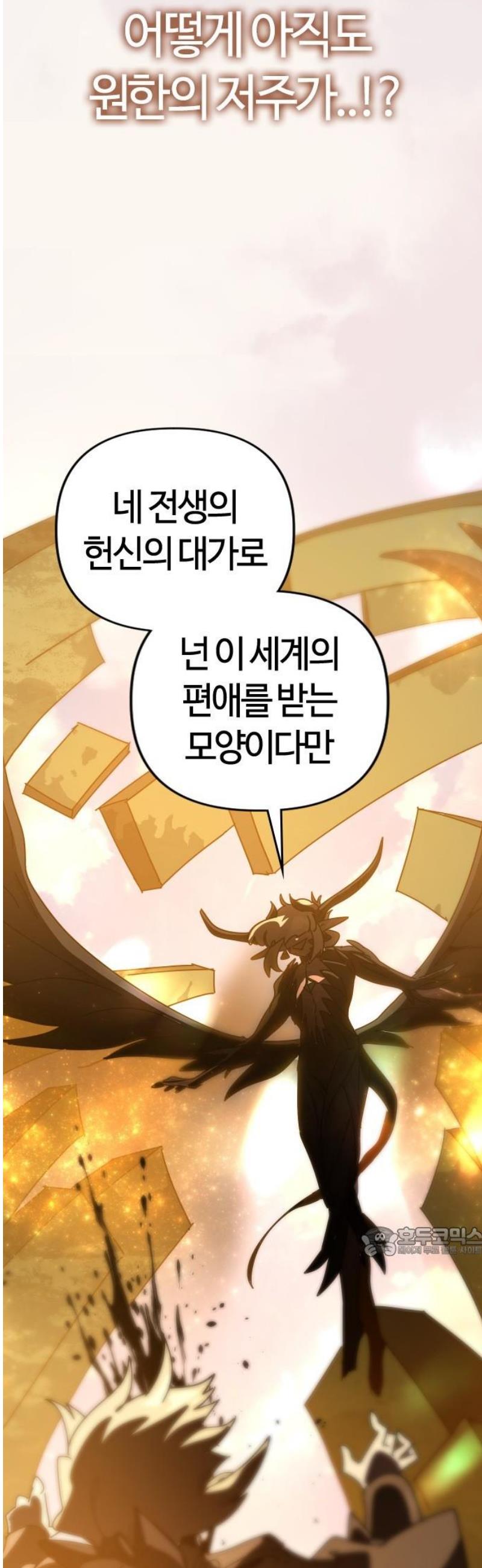 017.jpg