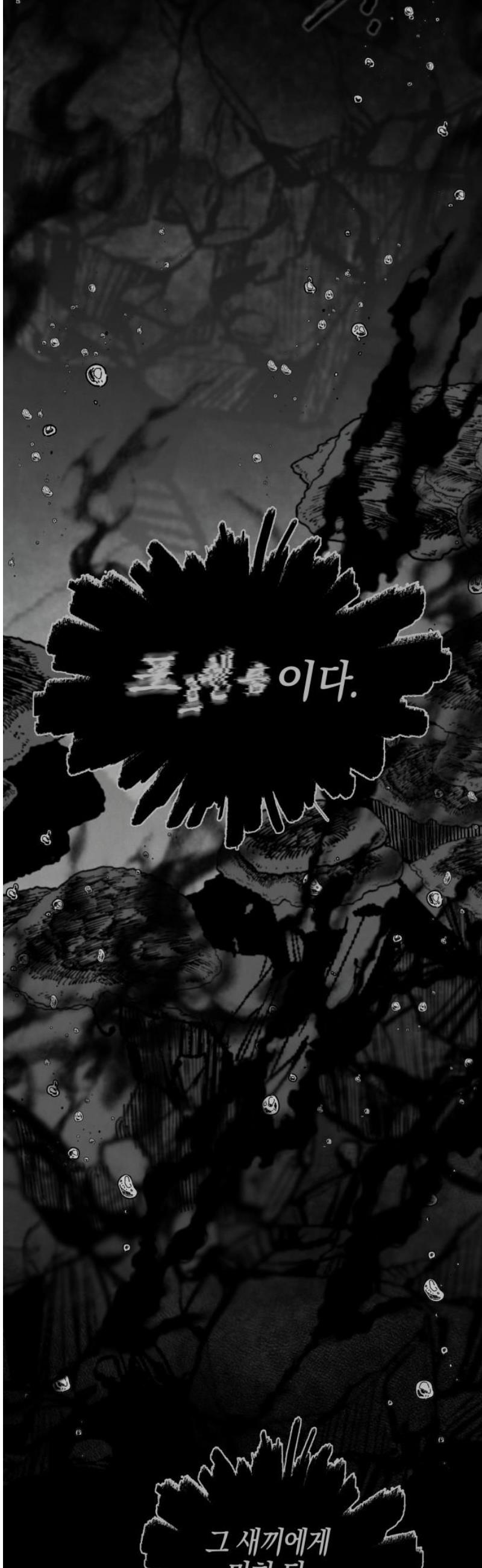 010.jpg