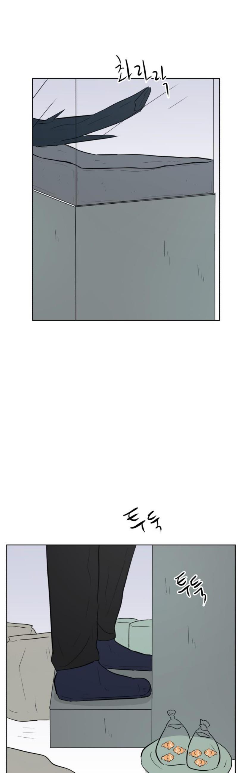 005.jpg