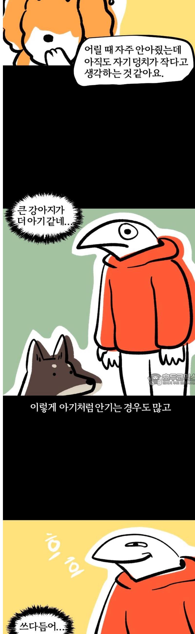 008.jpg