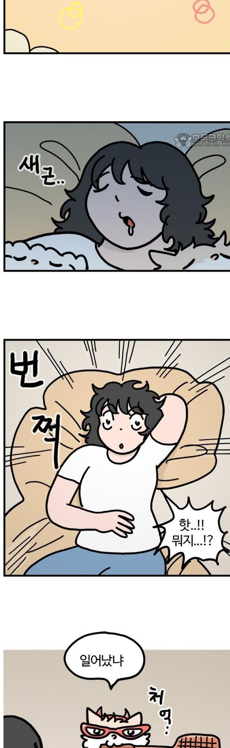 006.jpg