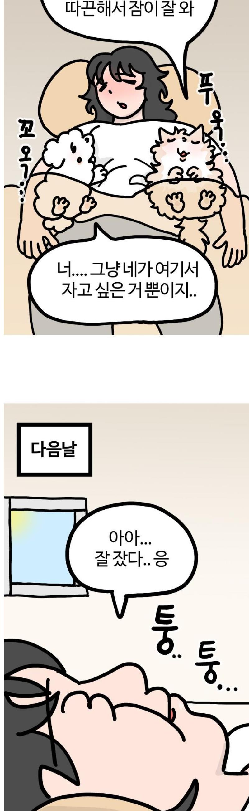 005.jpg