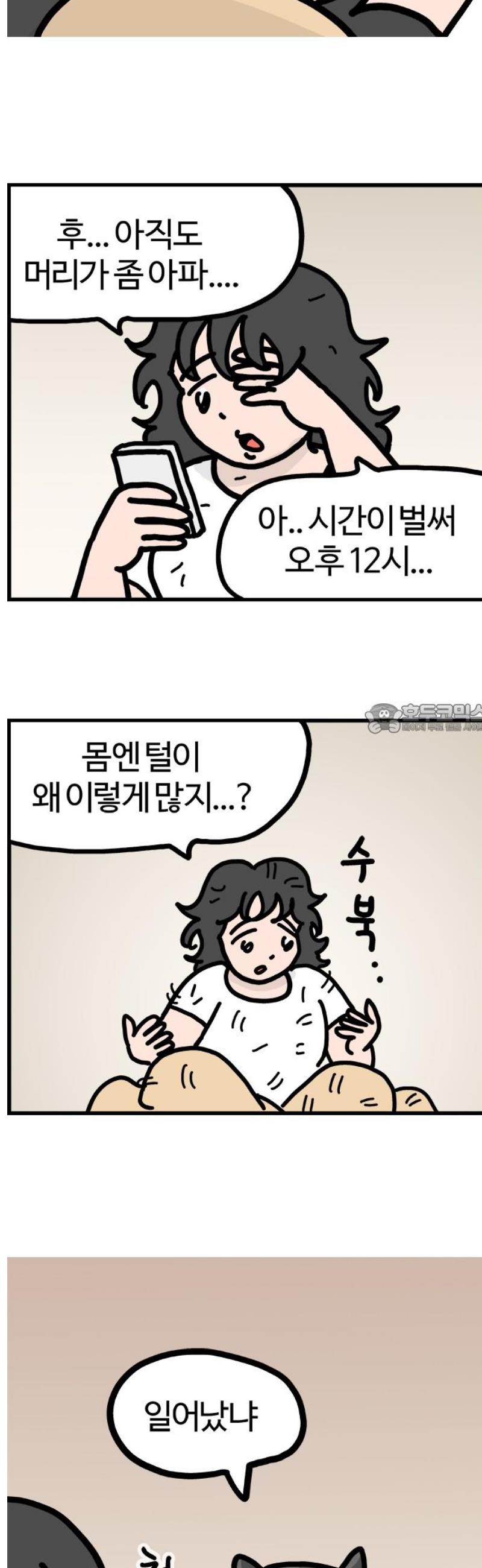 006.jpg