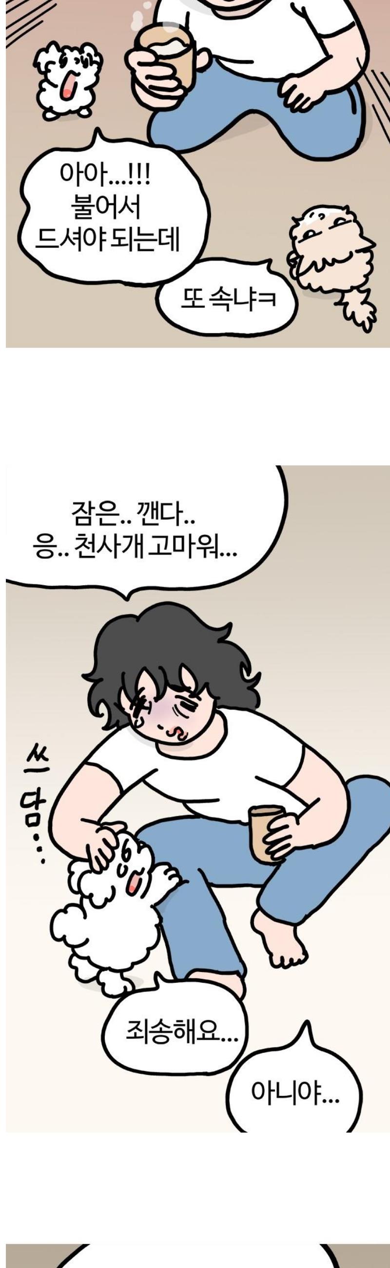 009.jpg