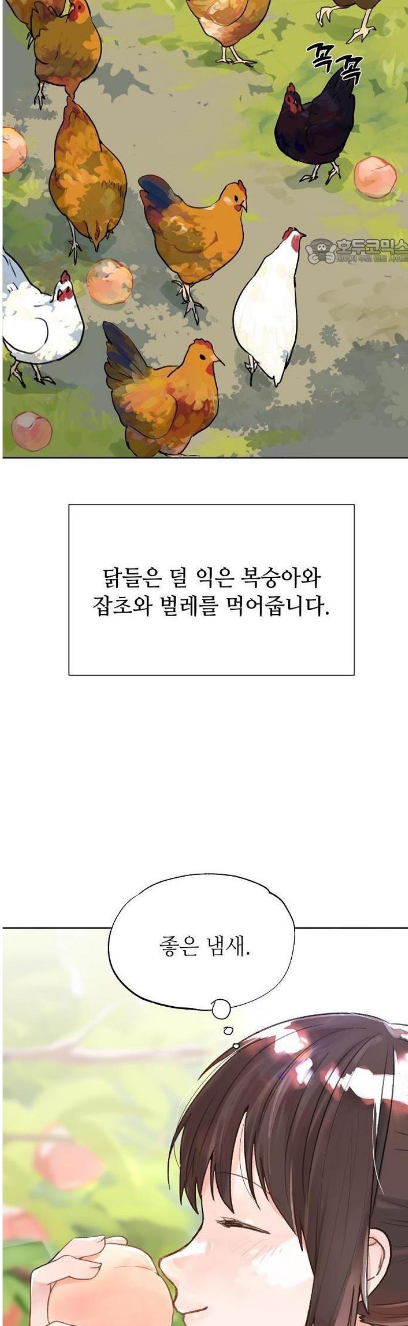 011.jpg