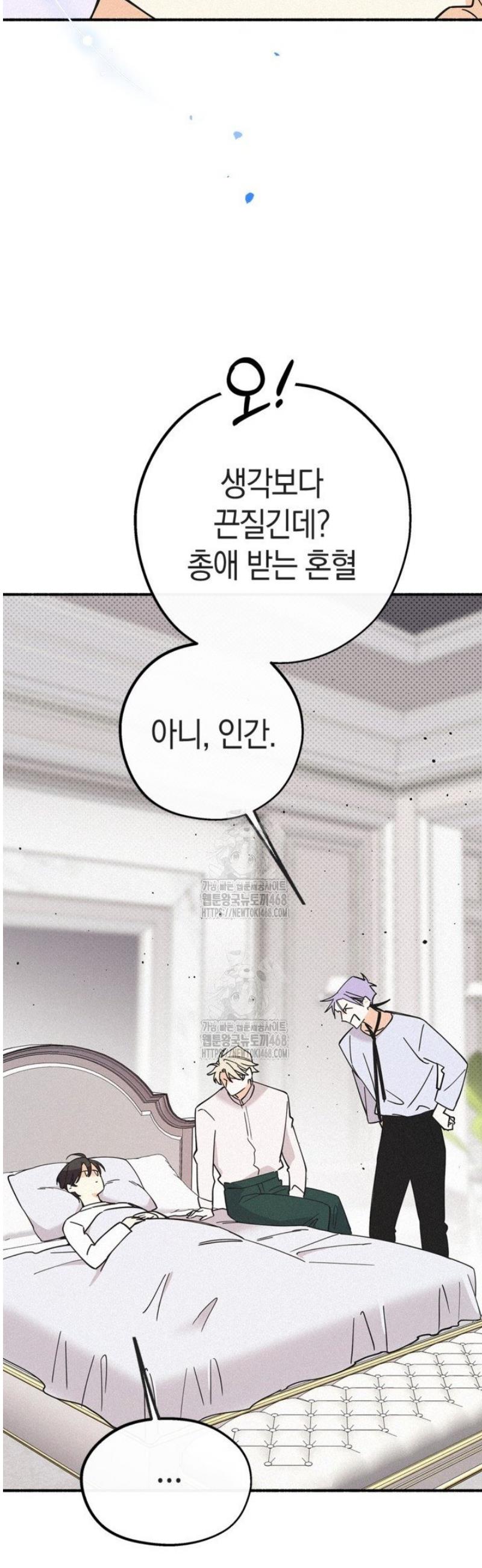 007.jpg