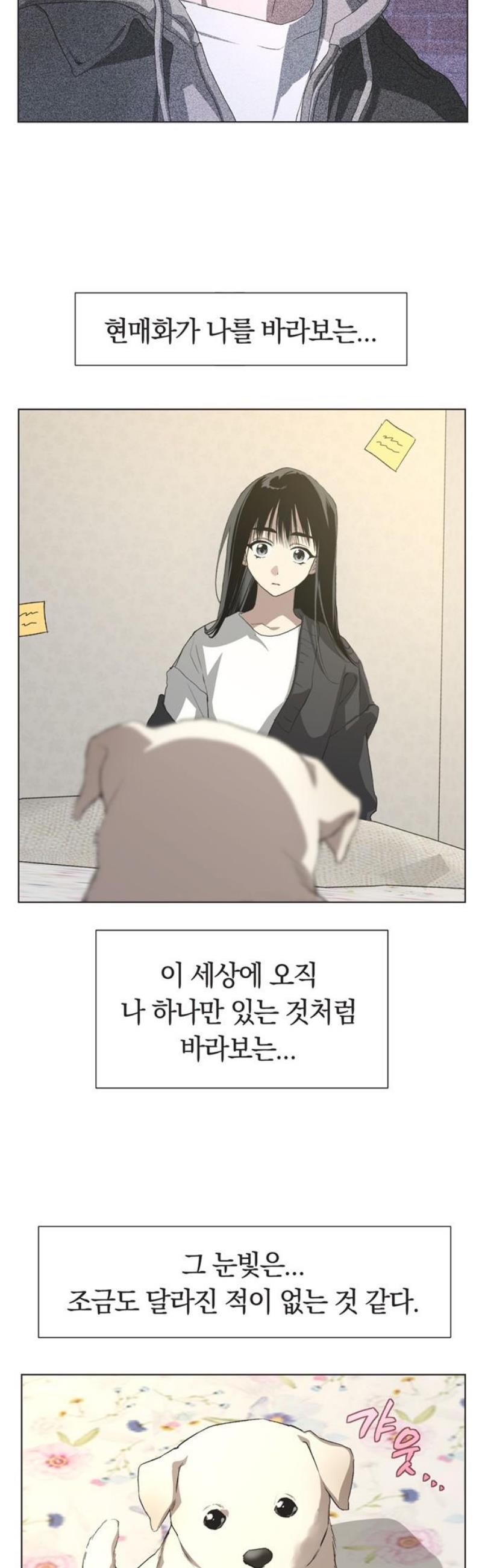 006.jpg
