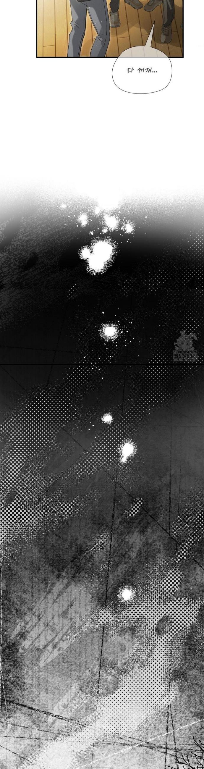 042.jpg