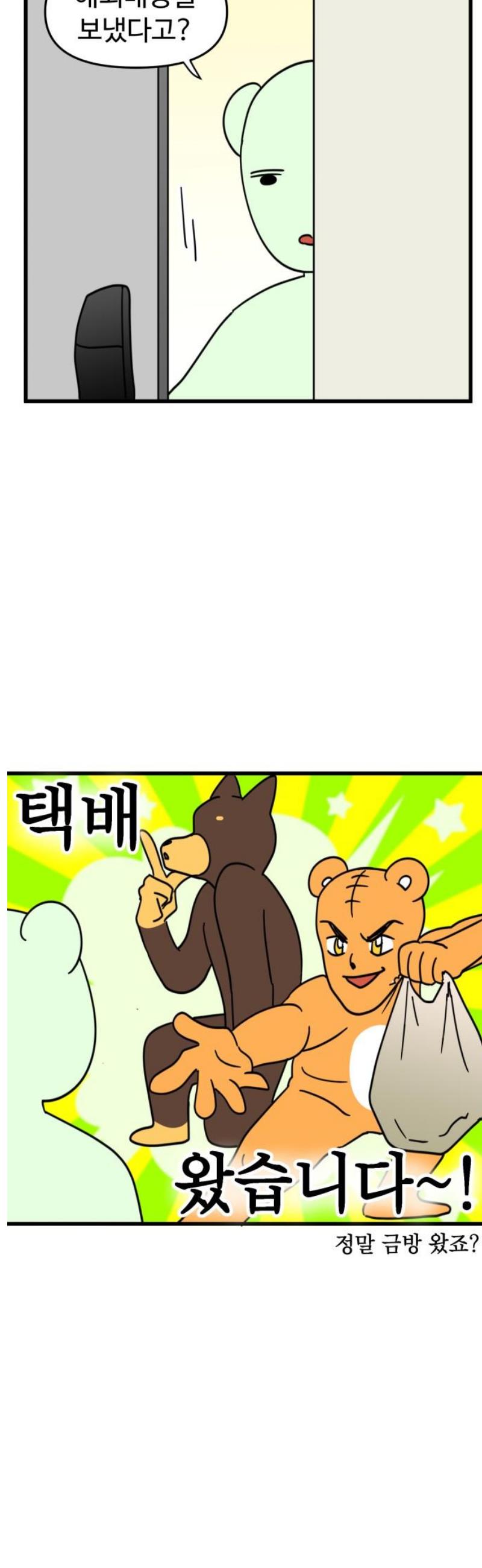 005.jpg