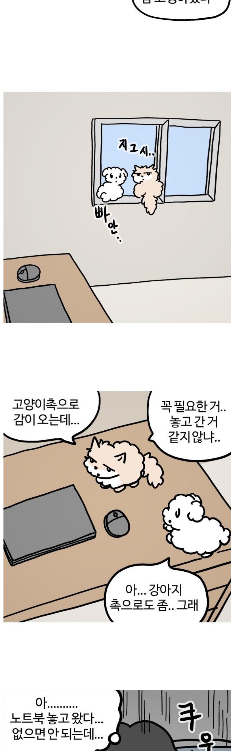 009.jpg
