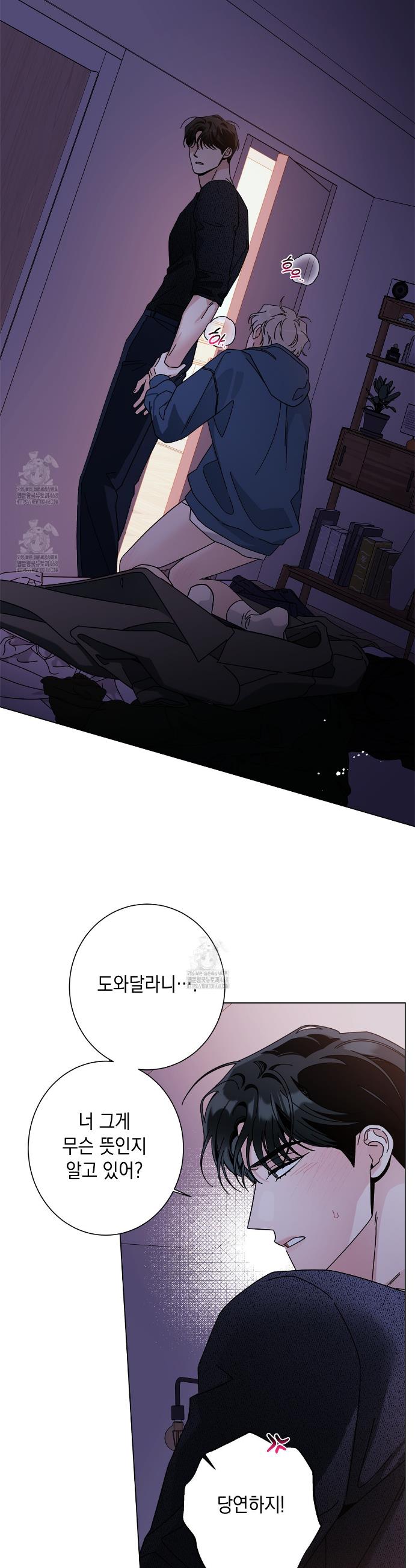 003.jpg