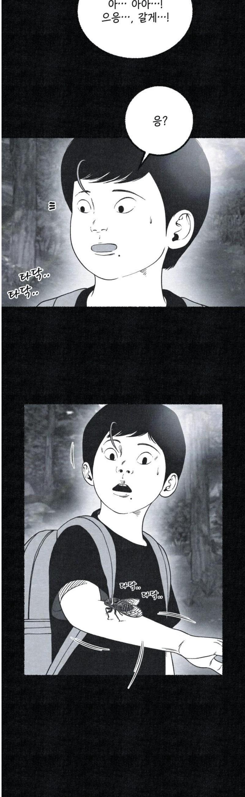 005.jpg