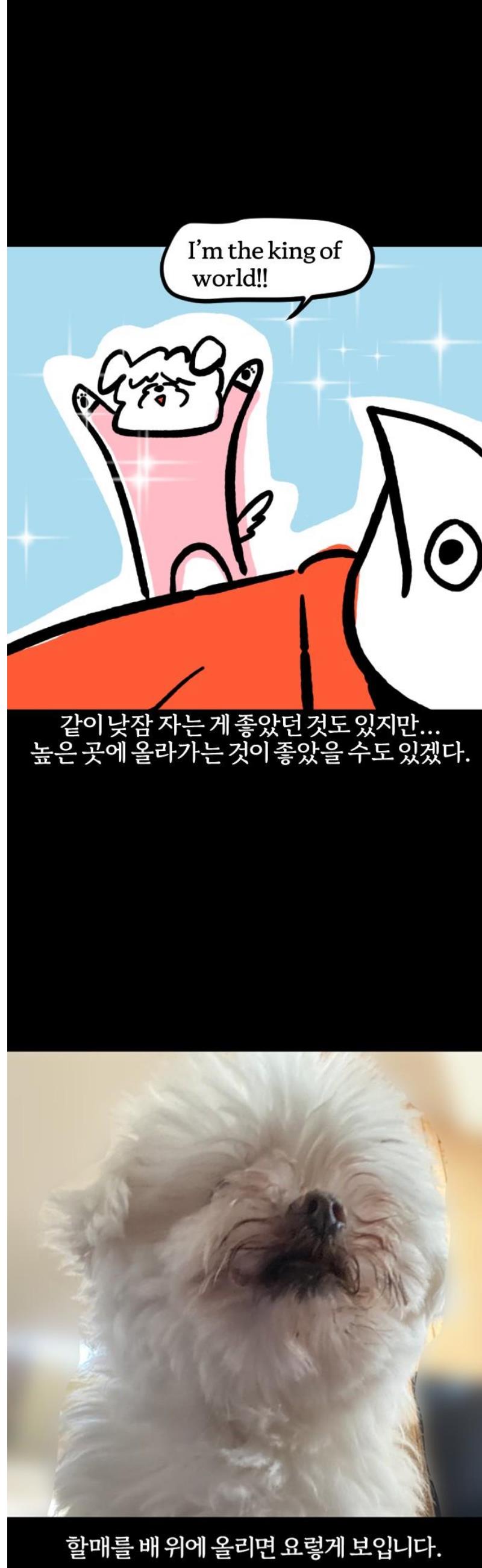 013.jpg