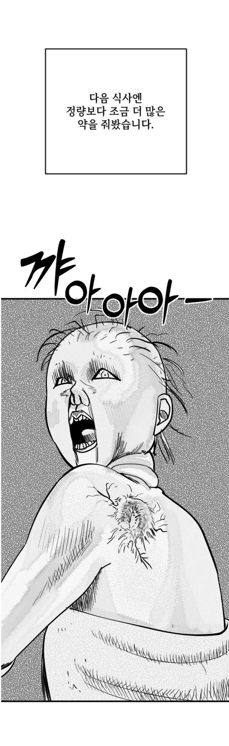 005.jpg