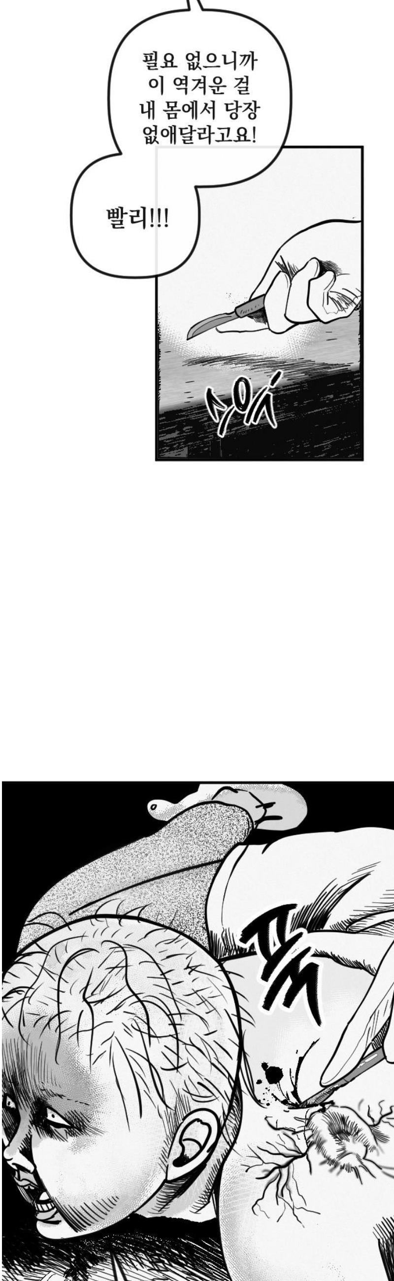 008.jpg