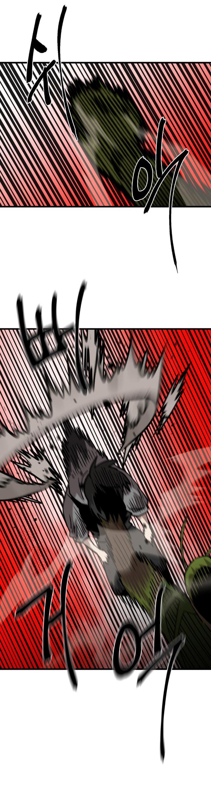 009.jpg