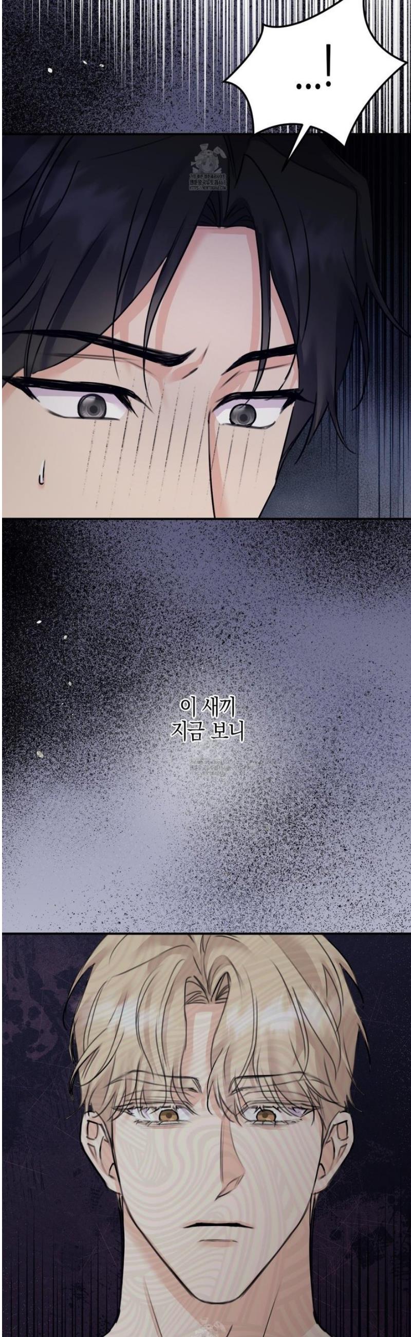 008.jpg
