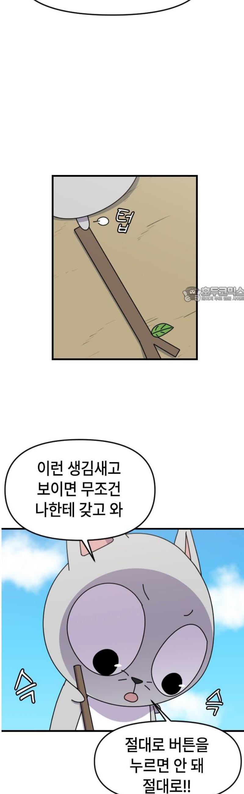 011.jpg