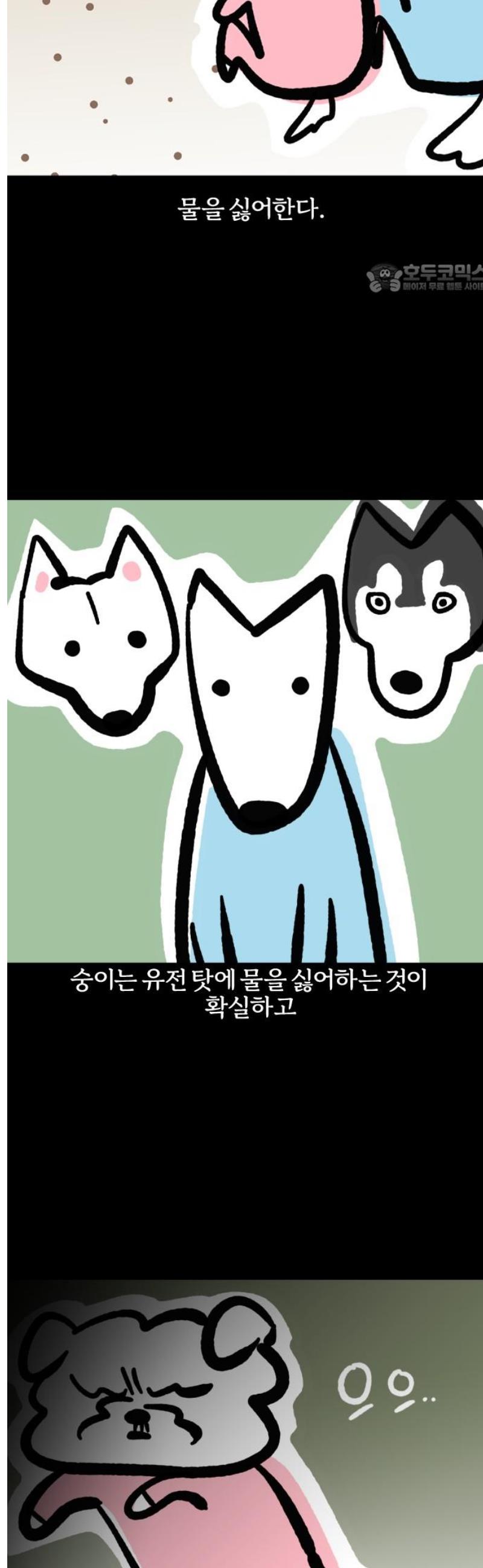 002.jpg