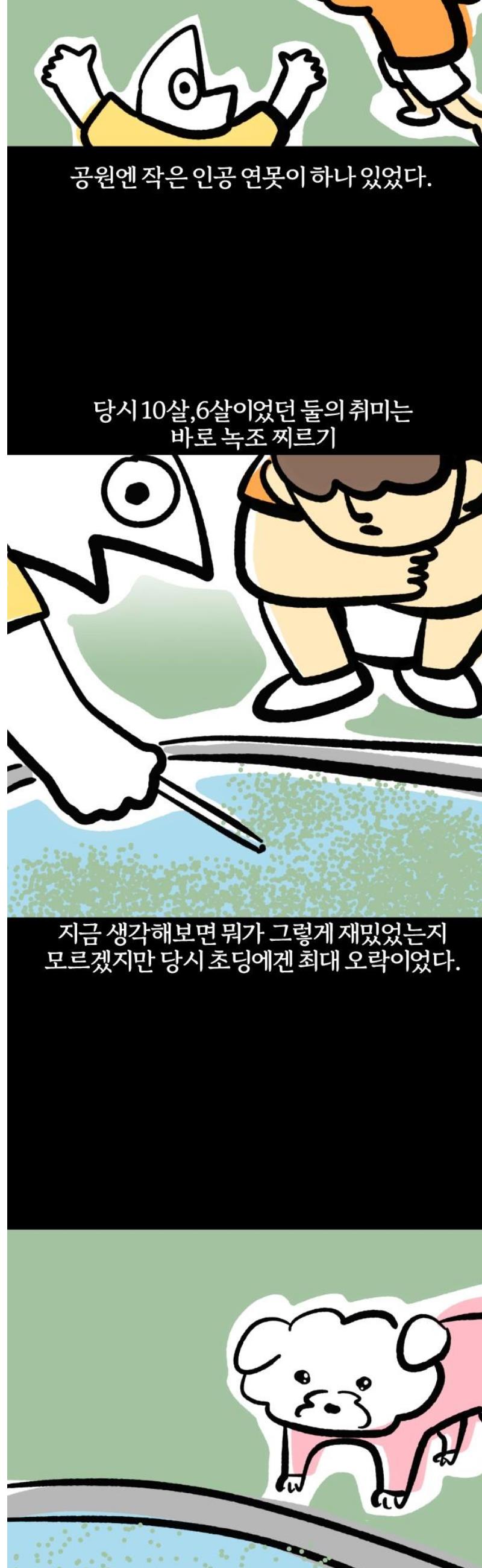 005.jpg