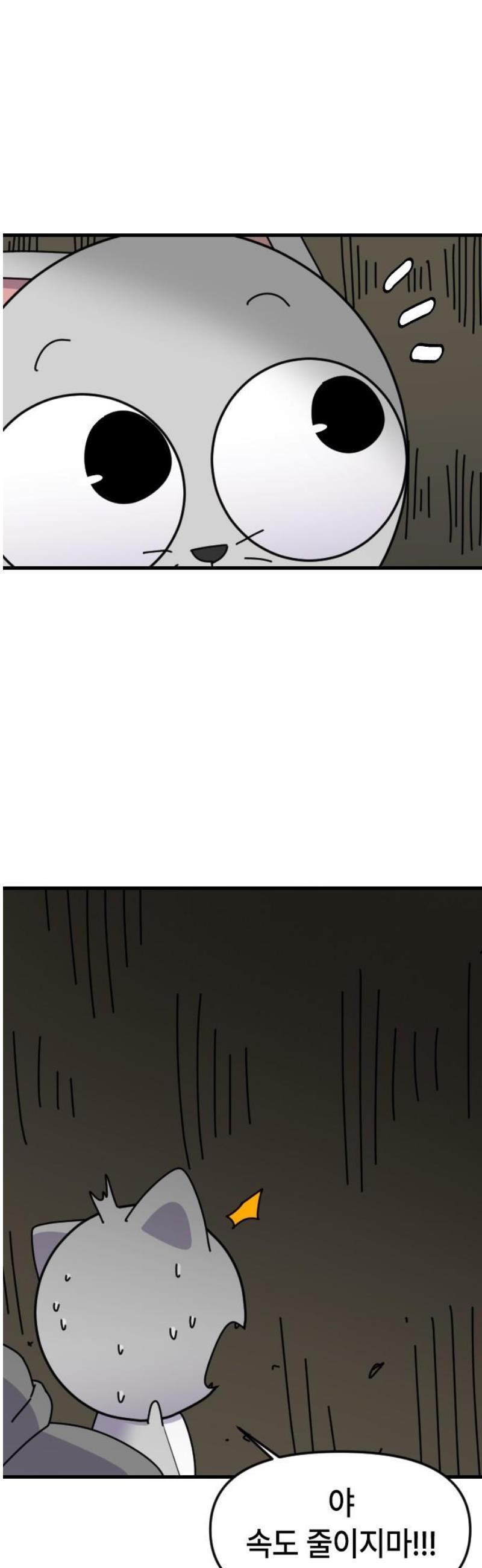 005.jpg