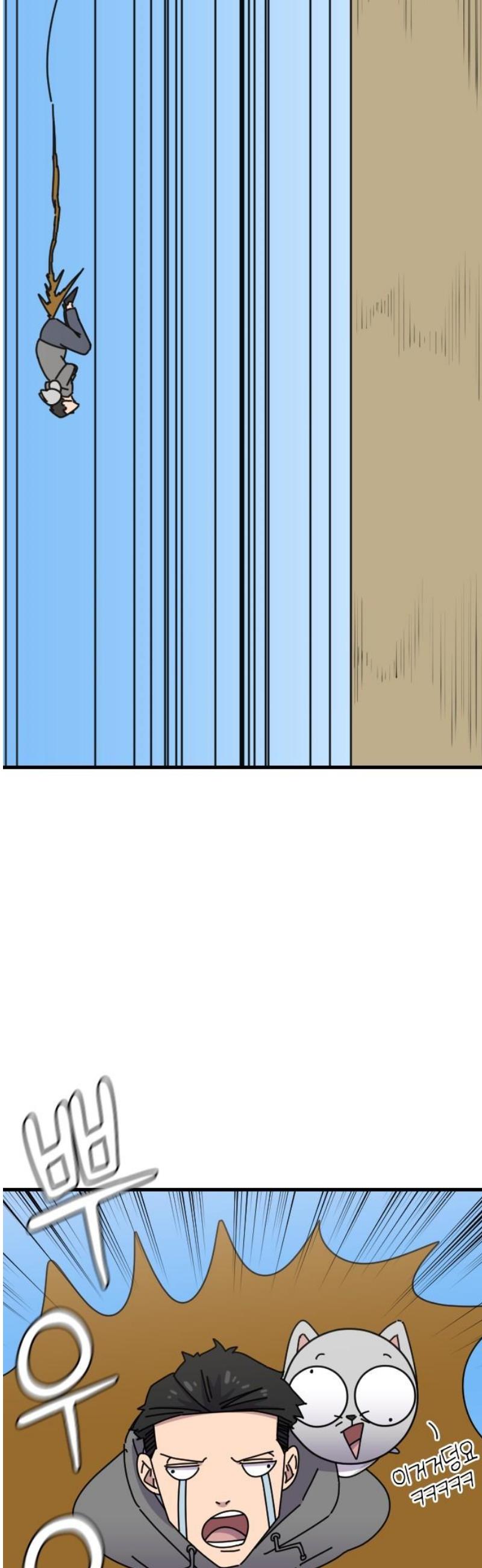 008.jpg