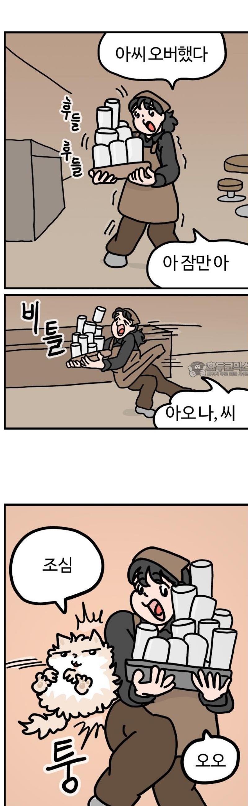 006.jpg