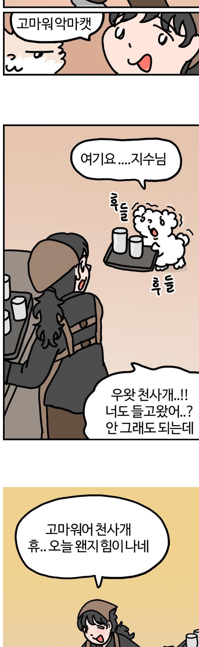 007.jpg