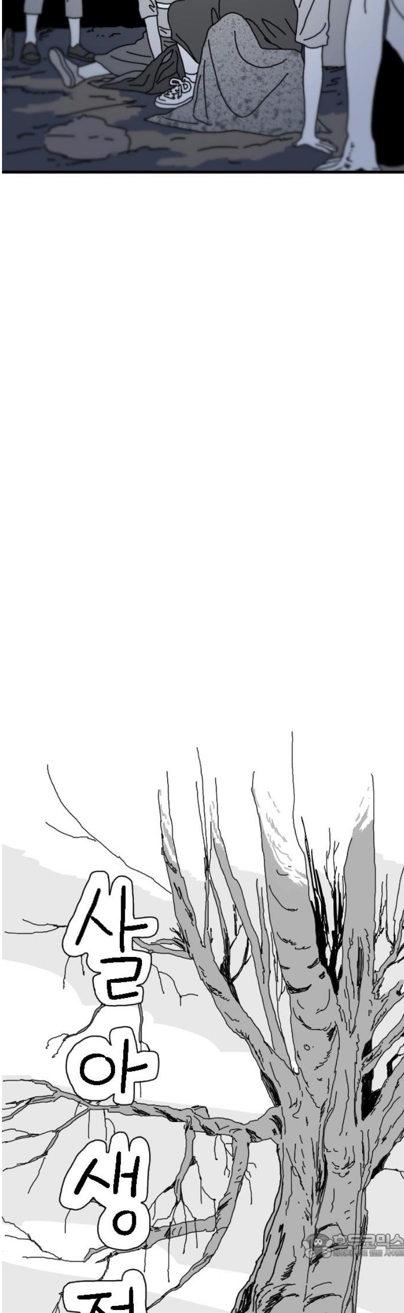 004.jpg