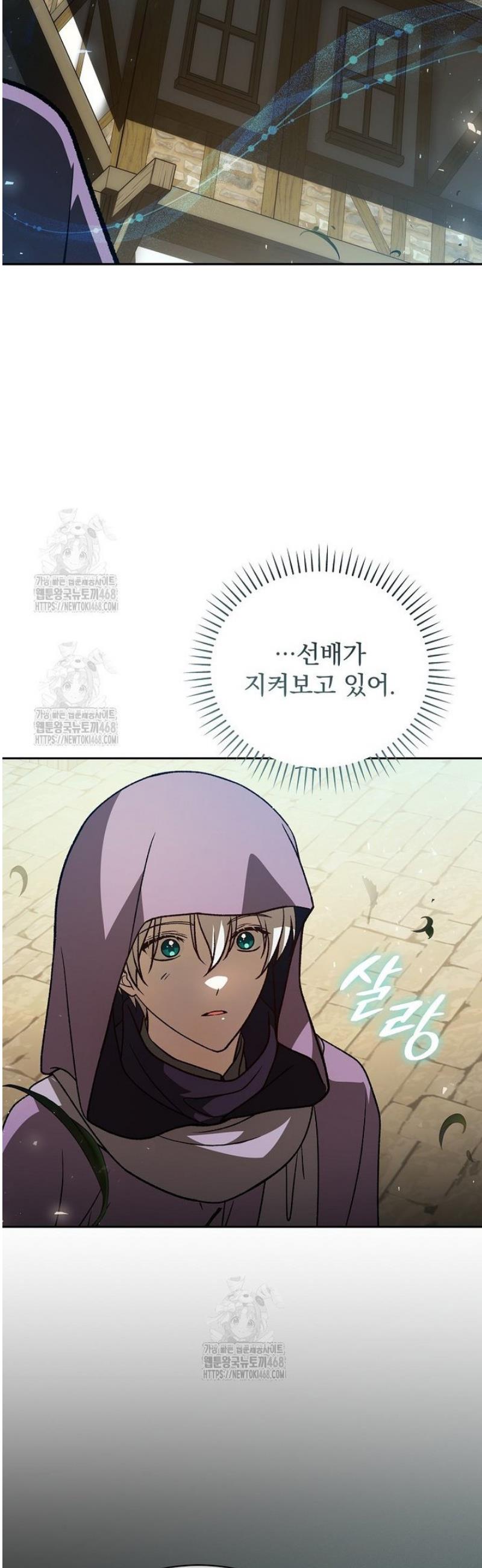 050.jpg