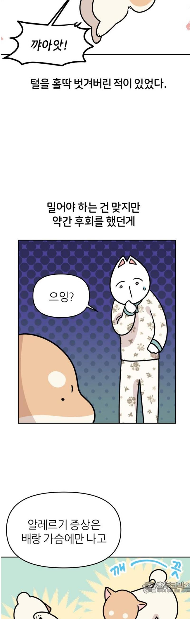 004.jpg